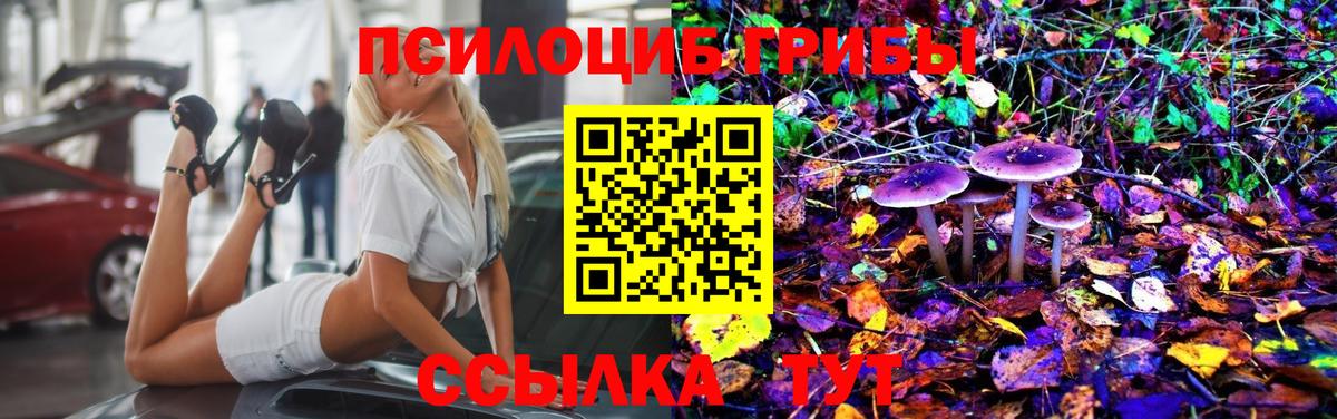 Псилоцибиновые грибы Psilocybe Моздок